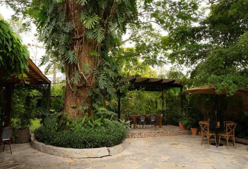 Caracoral Hotel Boutique