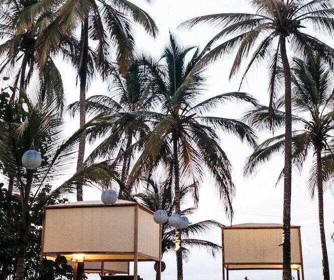 旅馆 Casa Del Pavo Real Boutique