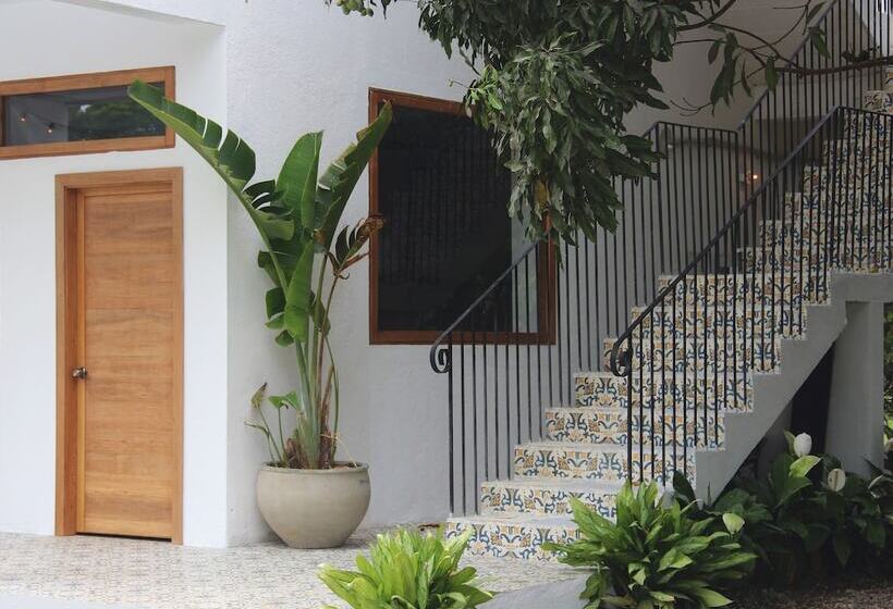 旅馆 Casa Del Pavo Real Boutique