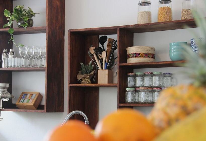 هاستل Casa Del Pavo Real Boutique