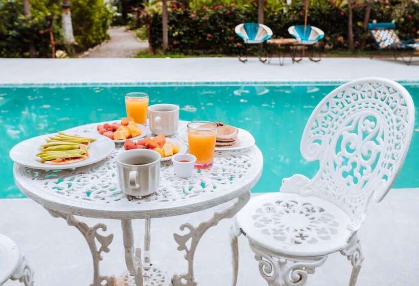 旅馆 Casa Del Pavo Real Boutique