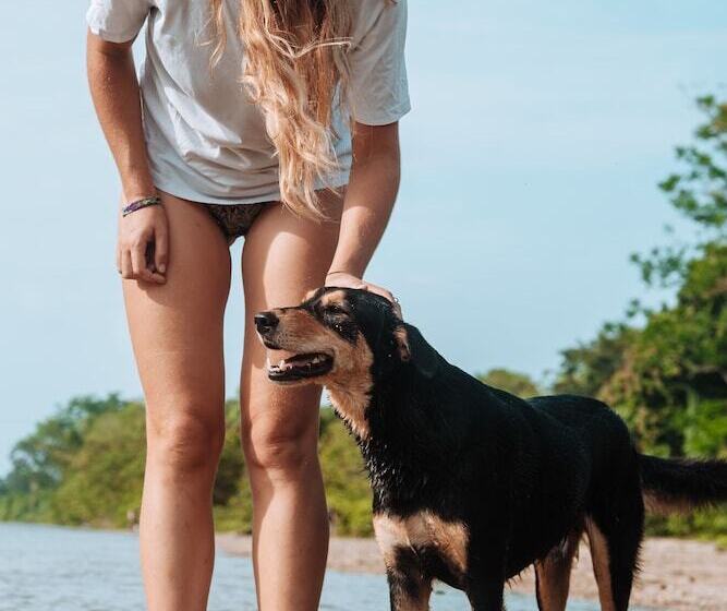 旅馆 Casa Del Pavo Real Boutique