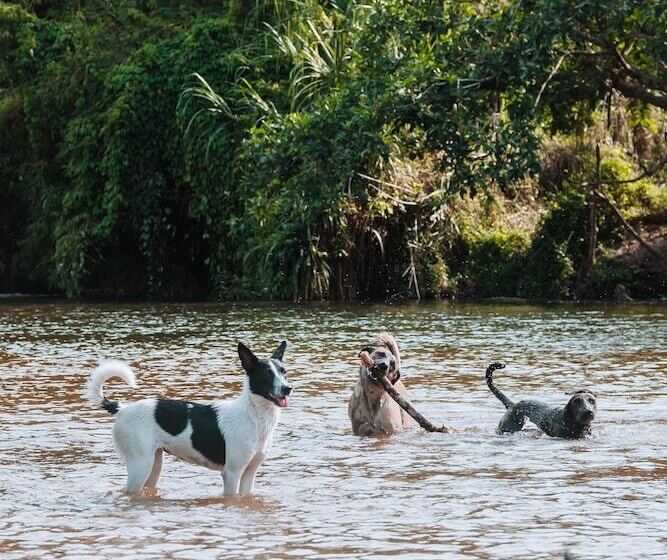 هاستل Casa Del Pavo Real Boutique