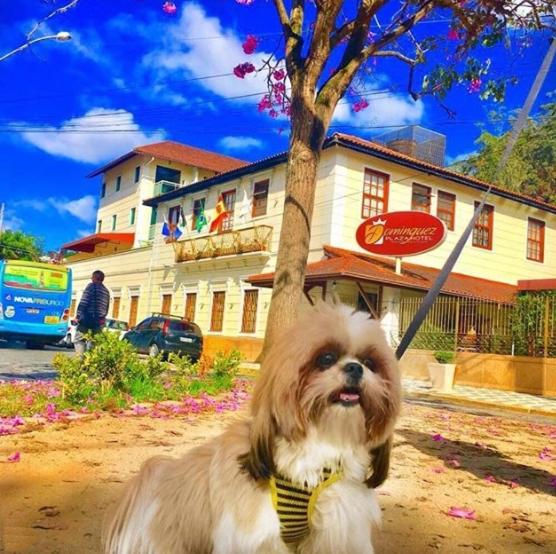 Отель Dominguez Plaza