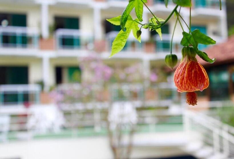 Отель Dominguez Plaza