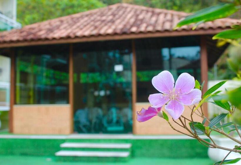 Отель Dominguez Plaza