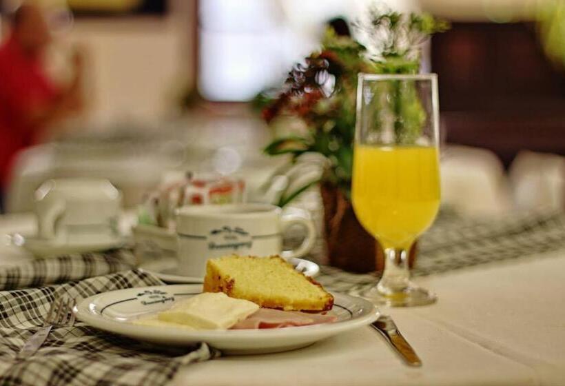 Отель Dominguez Plaza