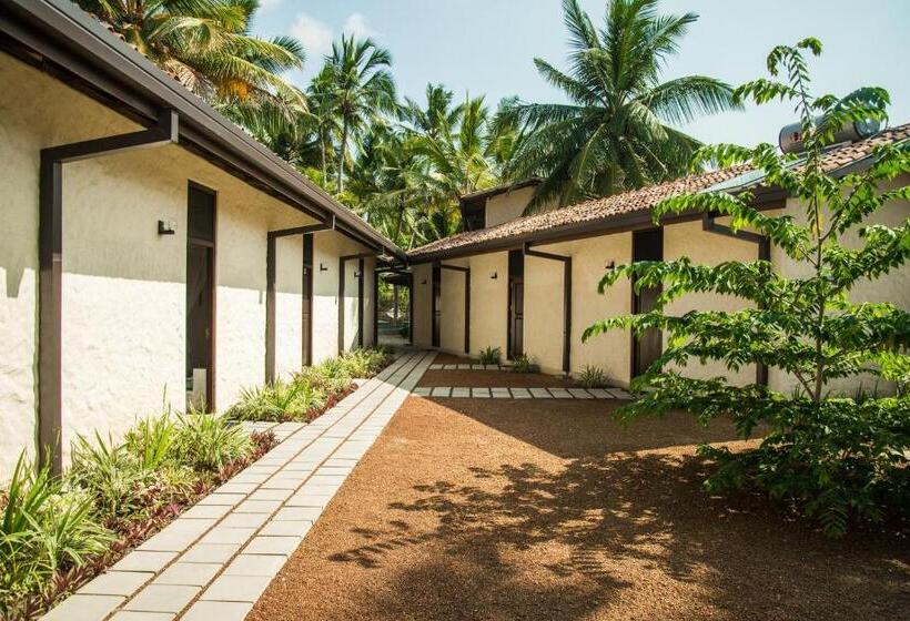 فندق Lime & Co Midi