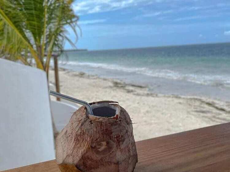 בית מלון כפרי Nautilus Boutique