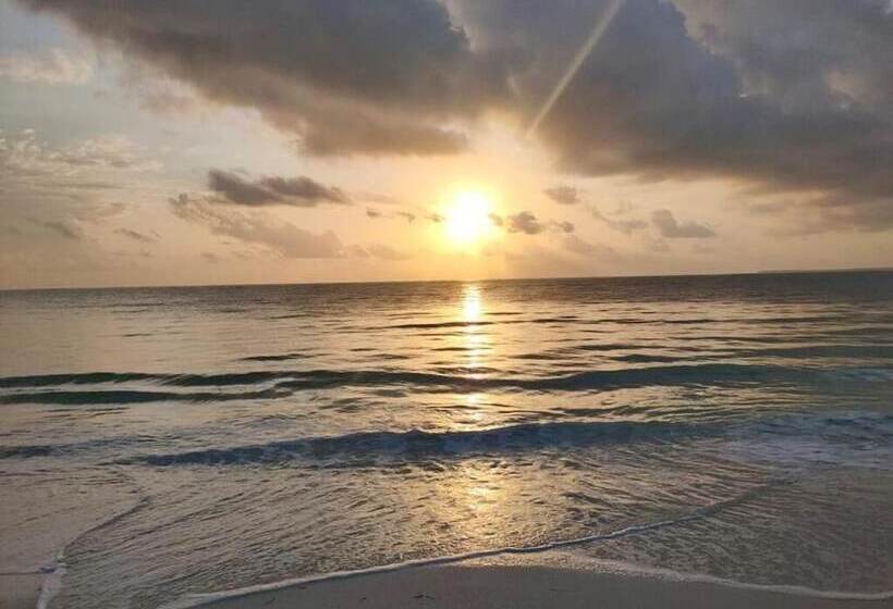 בית מלון כפרי Nautilus Boutique