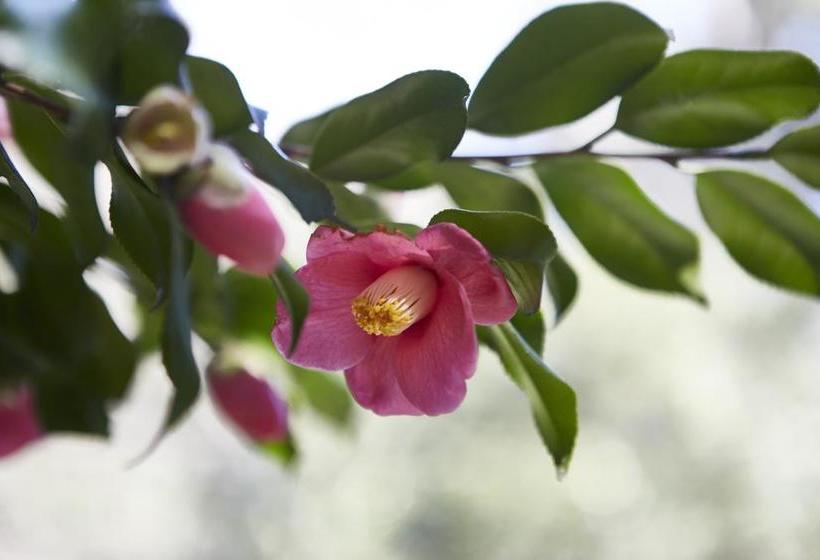 Wa Hotel Timeless Resort Adult Only