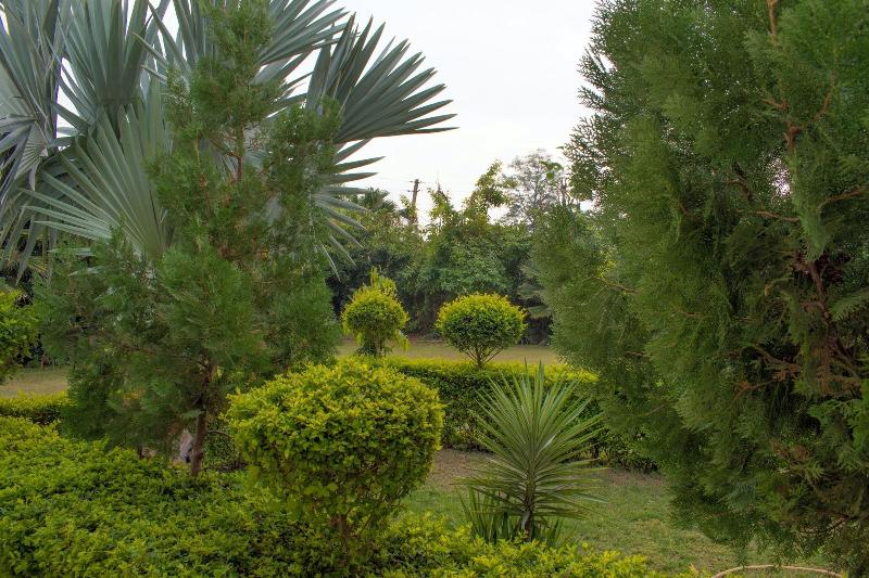 Отель Winsome Resort & Spa