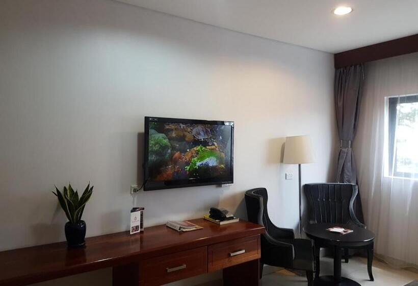 Paddy S Hotel & Apartments