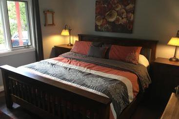 The Forest House B&b