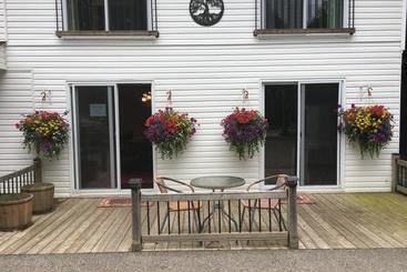 The Forest House B&b