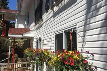 The Forest House B&b