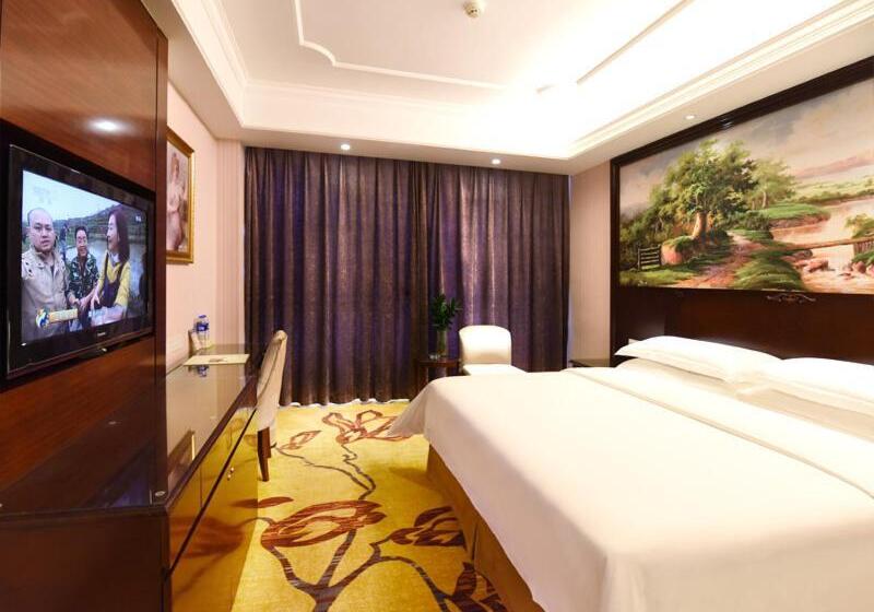 Vienna International Hotel Hunan Changsha Time Dijing
