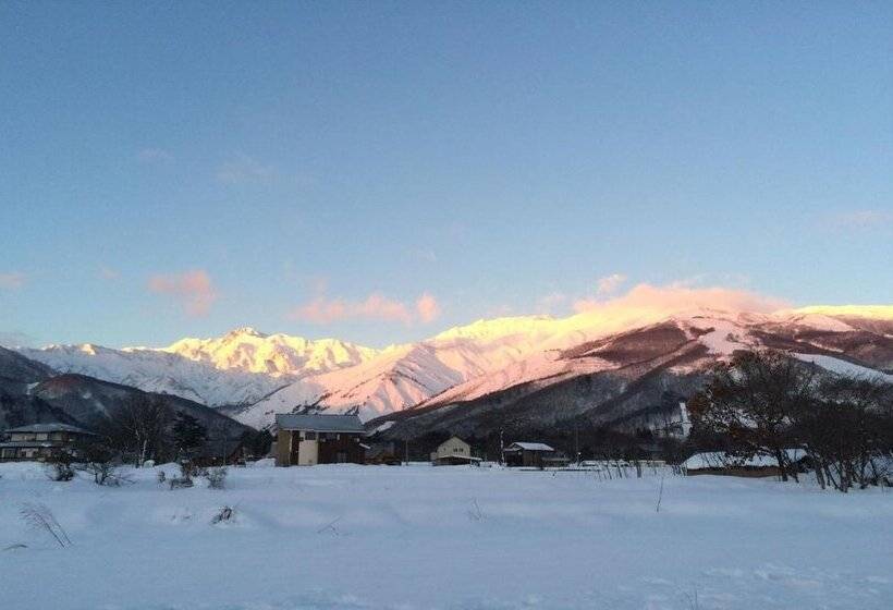 호스텔 Pension Tomato