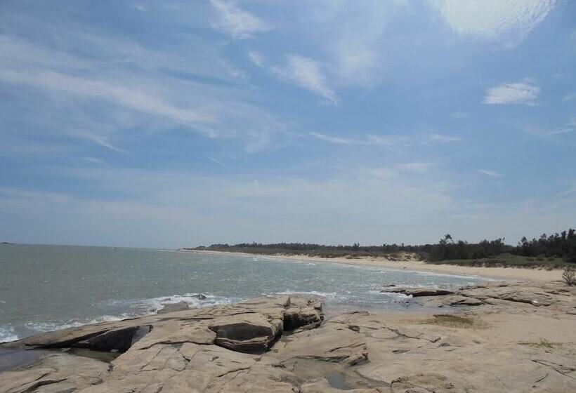 Antique Courtyard B&b