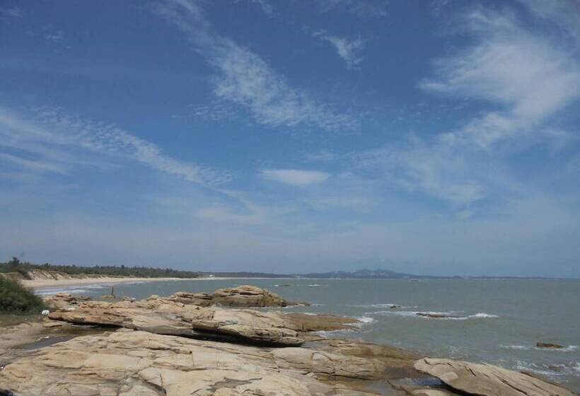 Antique Courtyard B&b