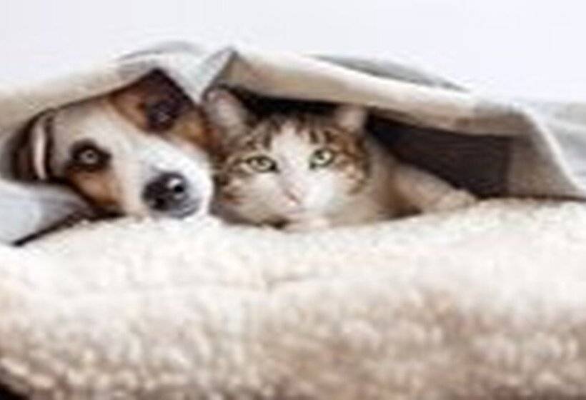 Apartamentos Sierra Nevada Pradollano 3000