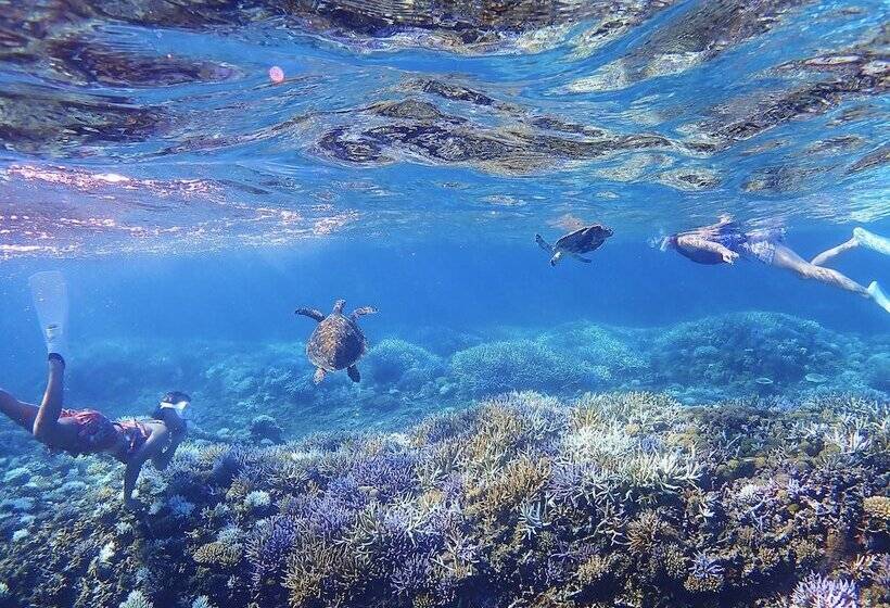 Iriomote Hotel By Hoshino Resorts