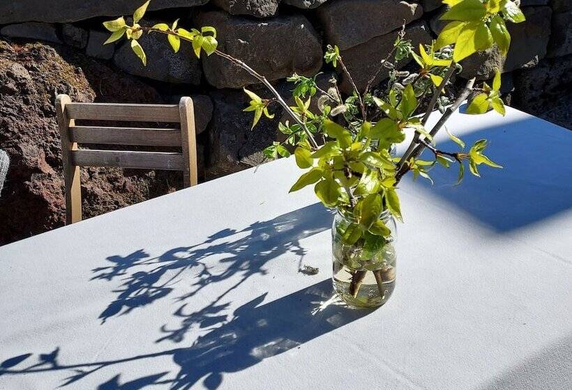 پانسیون Guesthouse Nýp