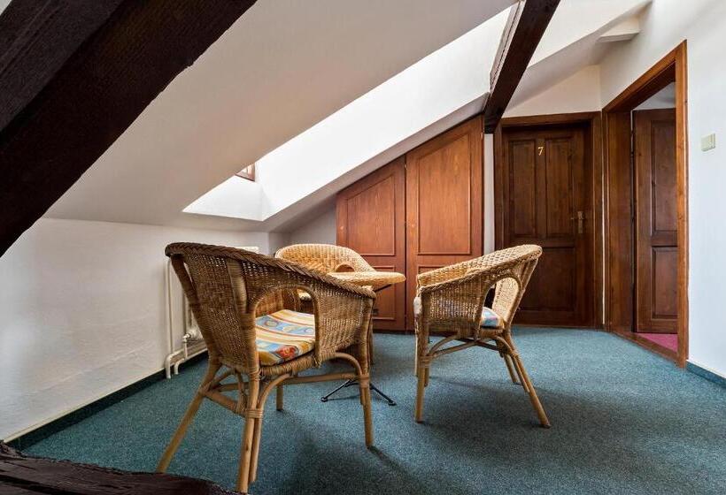 פנסיון Penzion Landauer