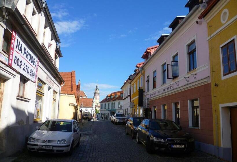 פנסיון Penzion Landauer