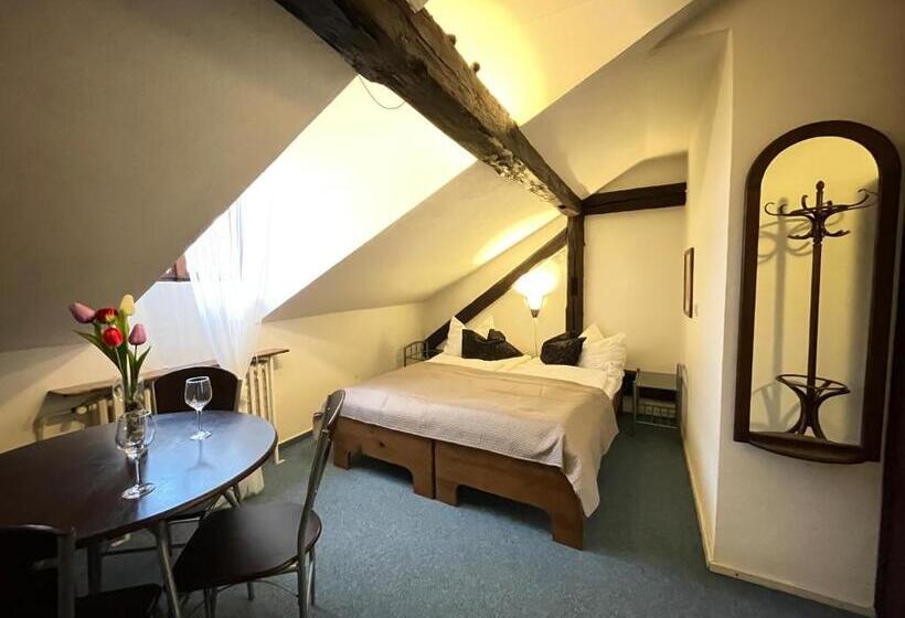 פנסיון Penzion Landauer