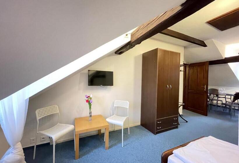 פנסיון Penzion Landauer