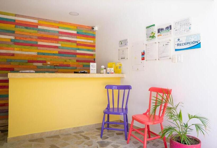 هاستل Casamart Rodadero