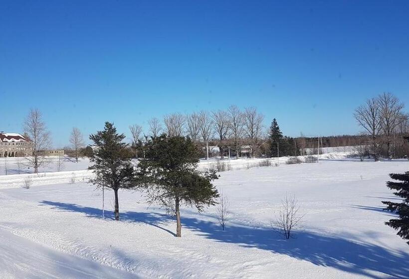 فندق صغير Domaine St Viateur