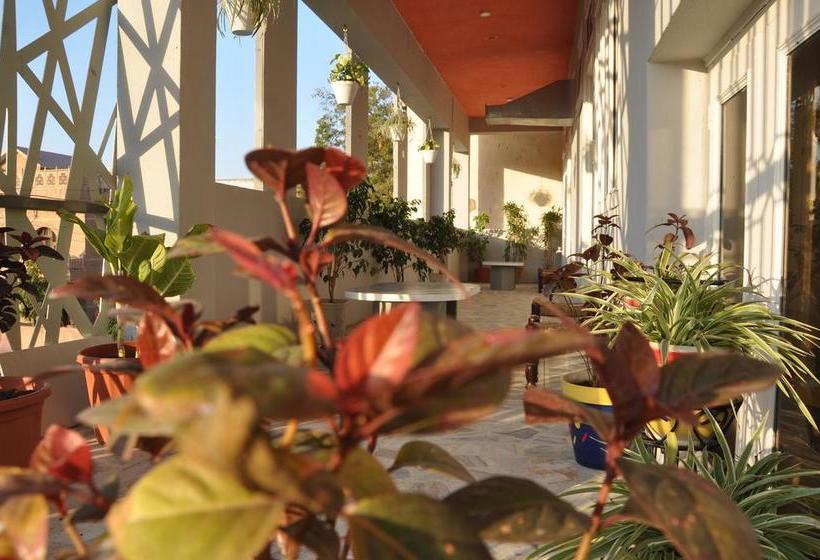 旅馆 Pink Elephant, Jaipur