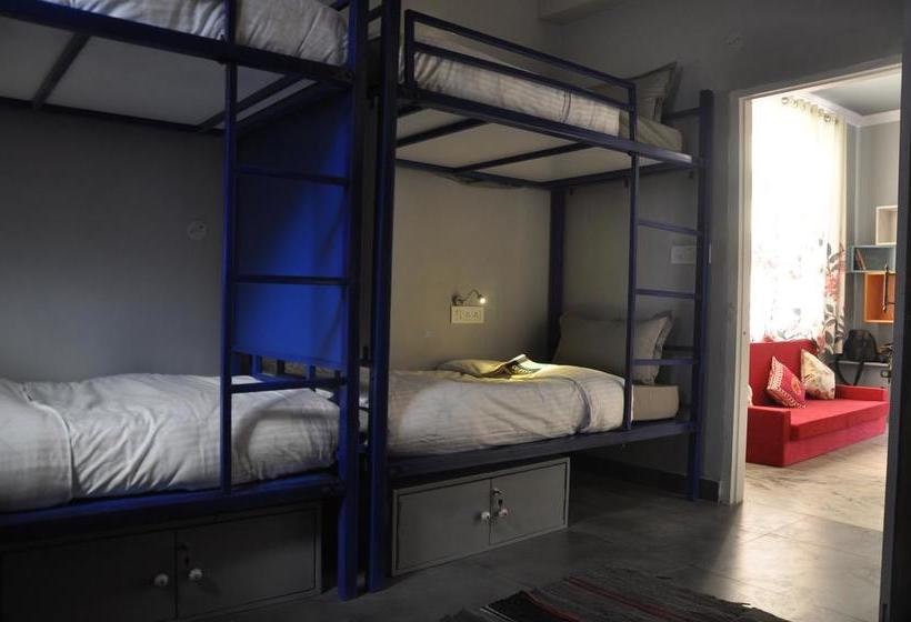 旅馆 Pink Elephant, Jaipur