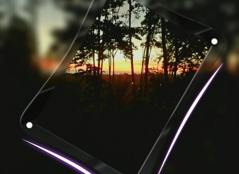 تختخواب و صبحانه Forest Lodge