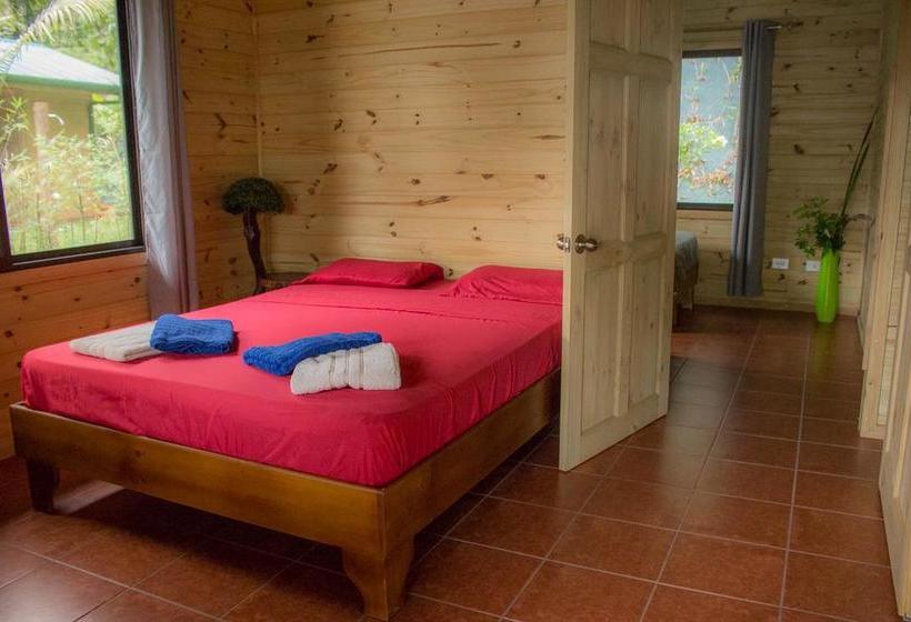 تختخواب و صبحانه Forest Lodge