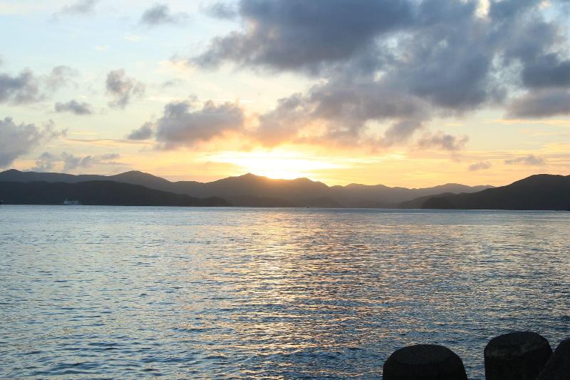 فندق Coral Palms