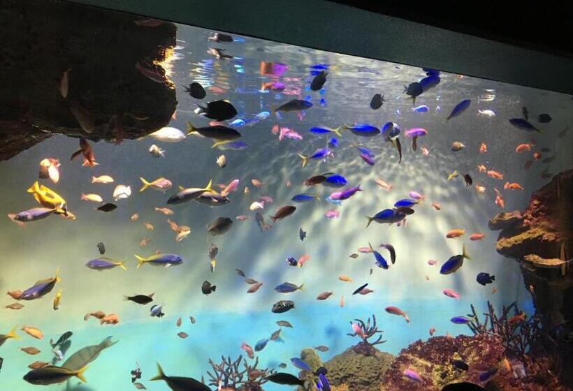 فندق Global Resort Ono De Lune