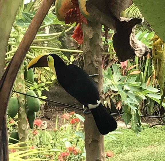 酒店 Encanto Del Mar