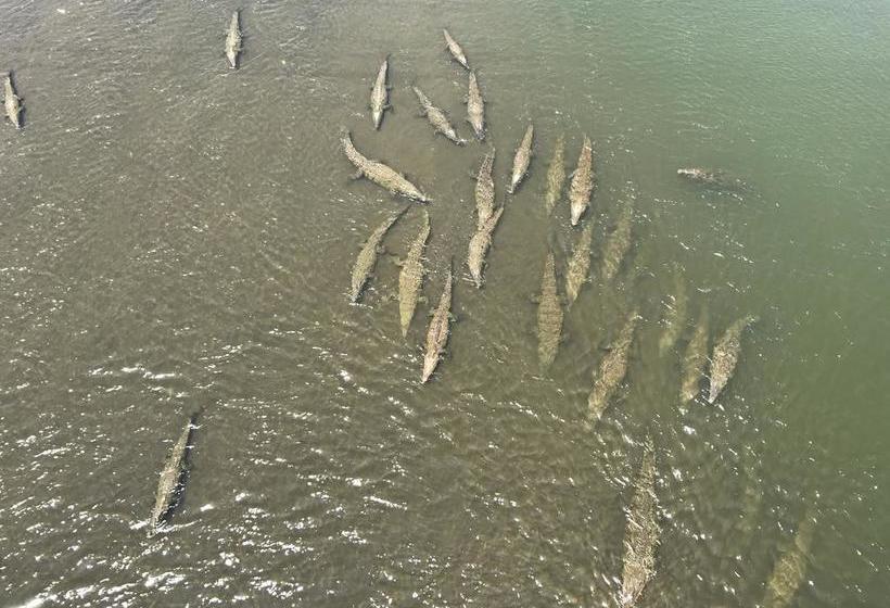 酒店 Encanto Del Mar