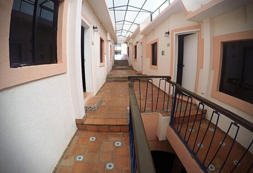 호텔 Plaza Centro Historico