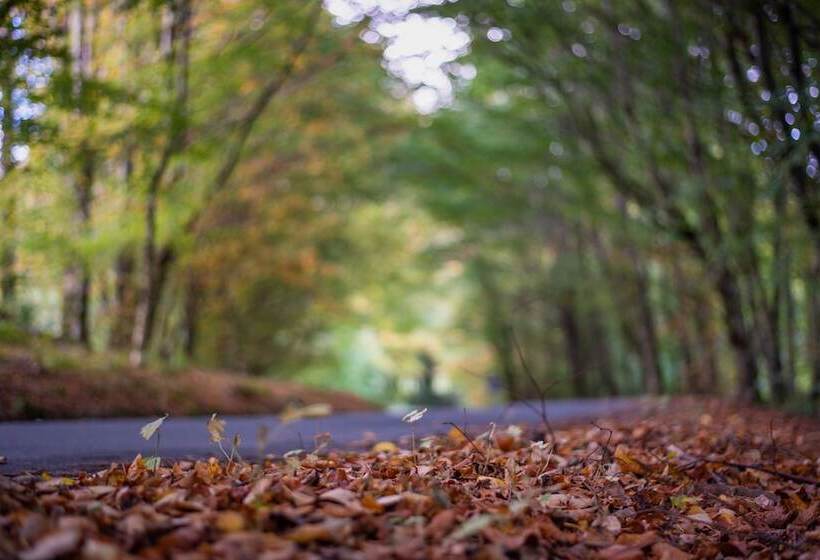 فندق Rockhill House