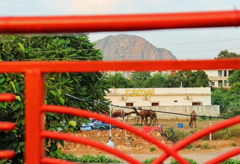 فندق Veera S Hostel