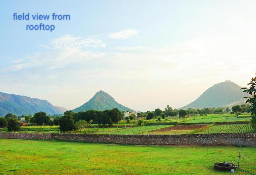 فندق Veera S Hostel