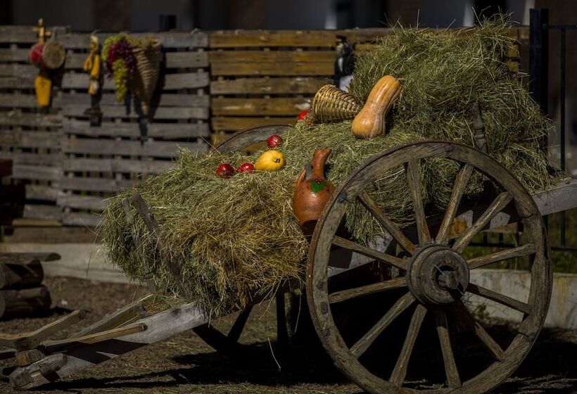 Loft Hotel Bakuriani