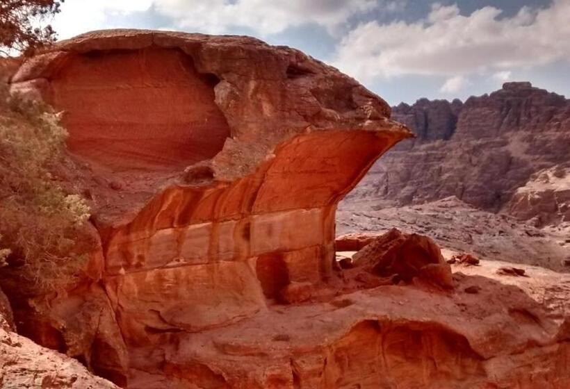 Petra Bedouin Bed And Breakfast