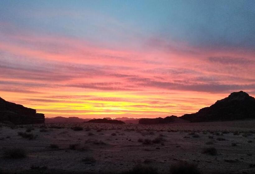 Petra Bedouin Bed And Breakfast