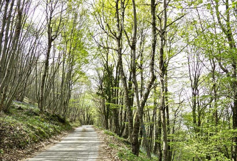 リゾートホテル Il Cannito