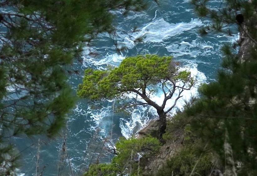 リゾートホテル Il Cannito